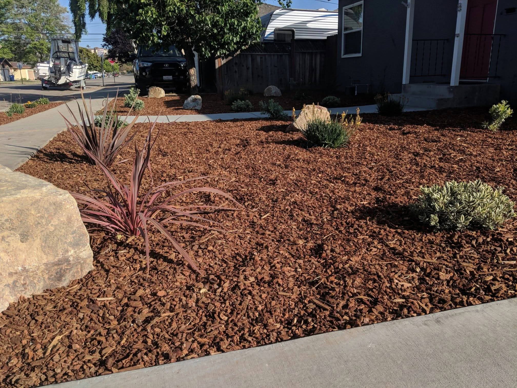 Front yard with mulch, boulders, and drought-tolerant planting